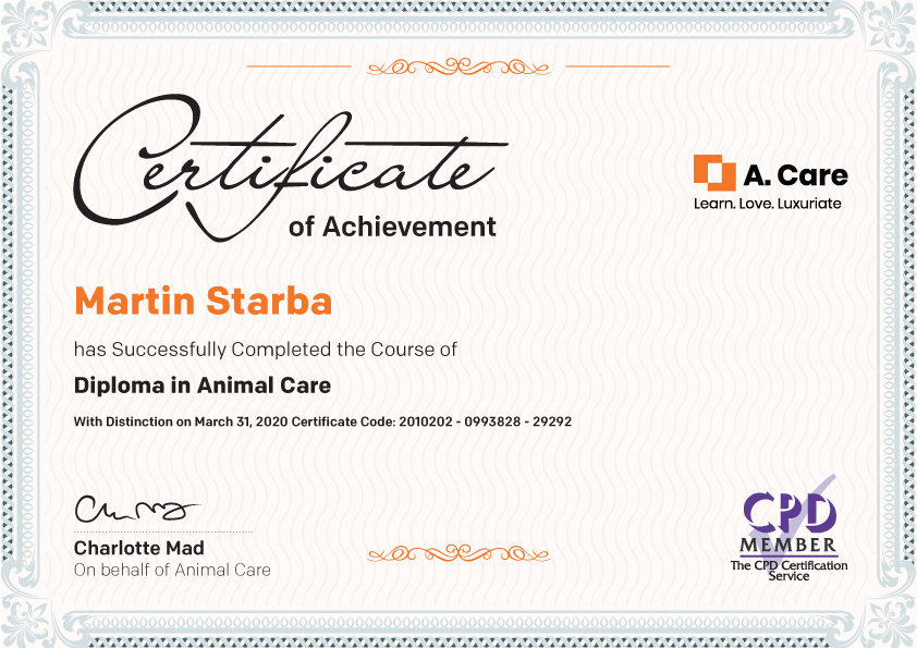 Animal Care Certificate 3 The Animal Care