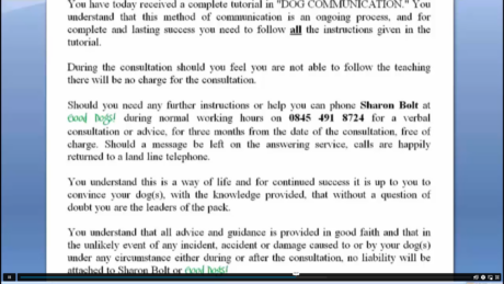 CPD Accredited Professional Dog Trainer