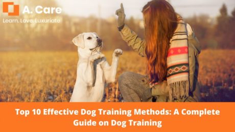 Dog training methods