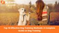 Top 10 Effective Dog Training Methods: A Complete Guide On Dog Training ...