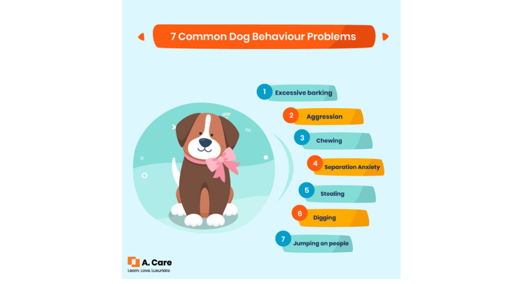 dog behaviour problems