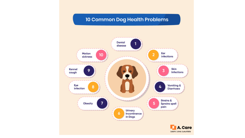 Dog health problems