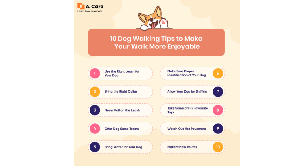 Dog walking tips