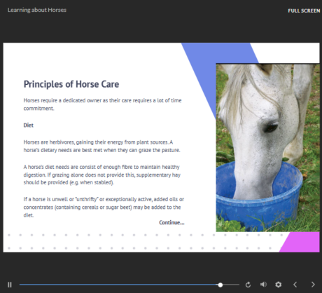 Animal Care and Psychology
