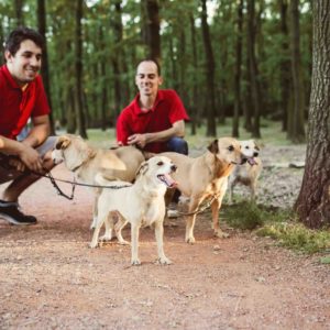 Professional Dog Controlling and Walking Business Training