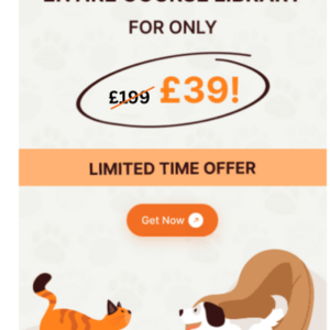 limited time 1 year access offer