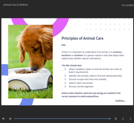 Animal Nutrition