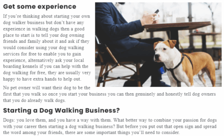 Pet Sitting and Dog Walking