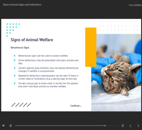 Animal Behaviour Counsellor