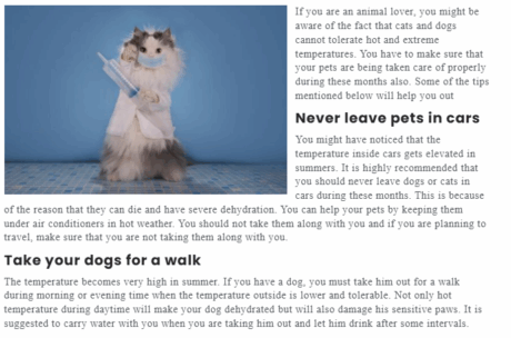 Pet Sitting and Dog Walking