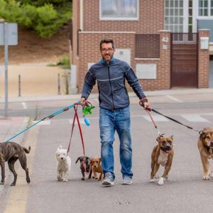 Pet Sitting and Dog Walking Business: Marketing Strategies
