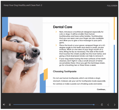 Keeping Dogs Healthy and Clean