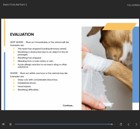 Dog First Aid Basics
