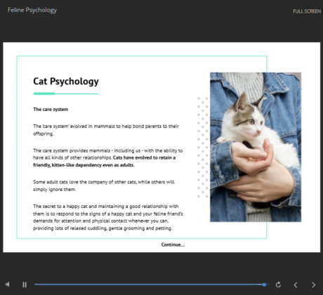 Cat Behaviour and Psychology
