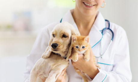 Animal Health Care