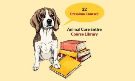 Animal Care Entire Course Library - 32 Premium Courses