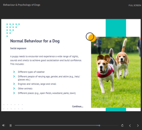 Animal Care & Behaviour Analysis of Dogs and Cats