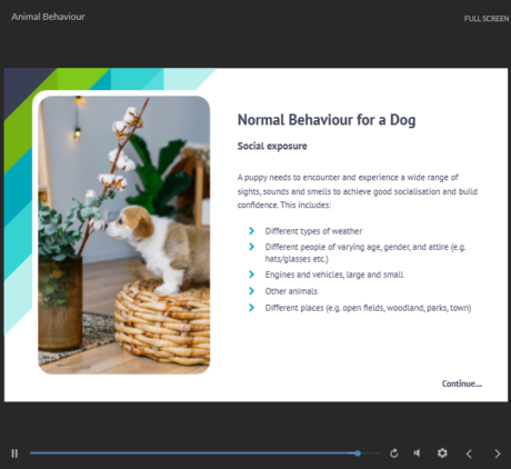 Animal Health & Behaviour Psychology