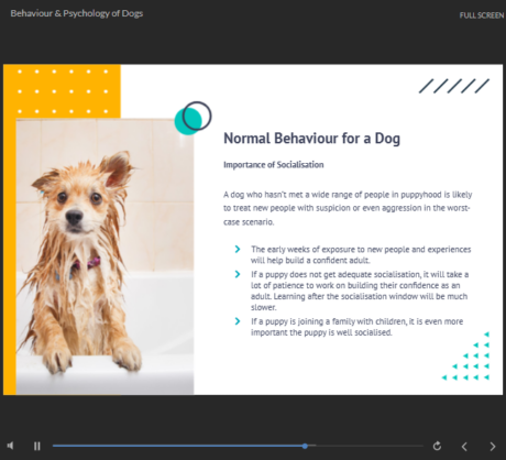 Animal Care, Welfare & Behaviour