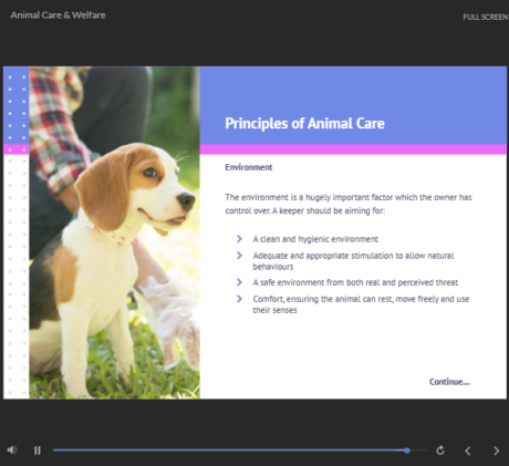Animal Health Care