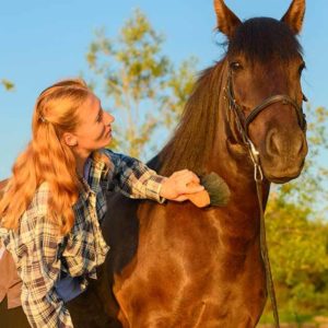 Stable Management - Horse Care