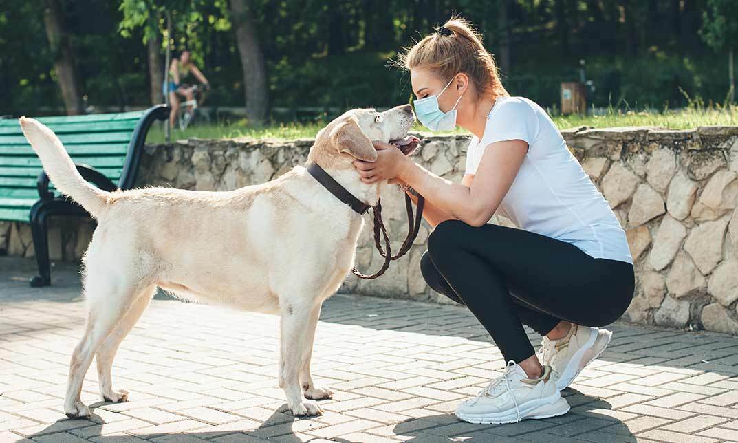 Canine Communication: Psychology & Body Language