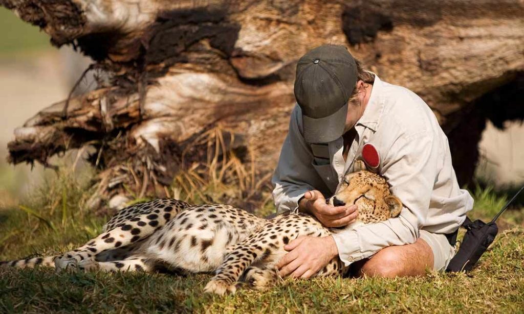top-10-high-paying-animal-care-jobs-to-start-in-2025-the-animal-care