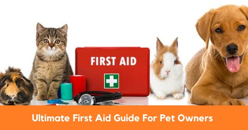 Ultimate First Aid Guide For Pet Owners