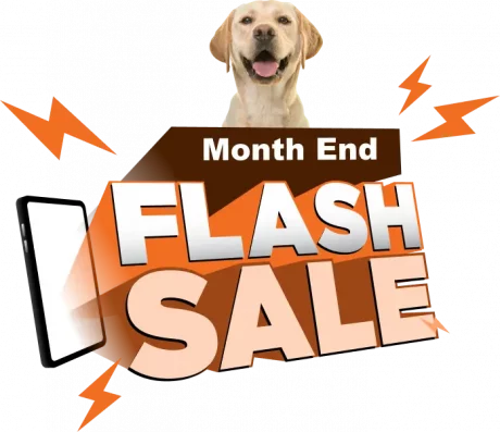 month end flash sale