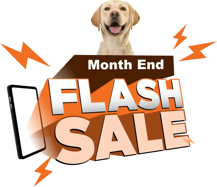 month end flash sale