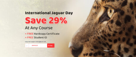 Animal Care for International Jaguar Day
