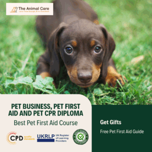 Small brown puppy sitting on grass next to a message promoting pet-friendly gifts and courses