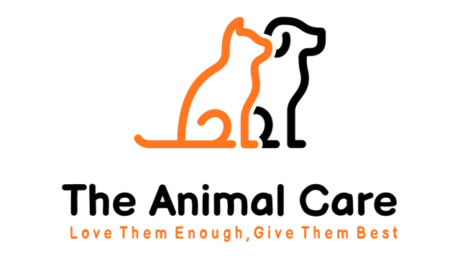 The Animal Care