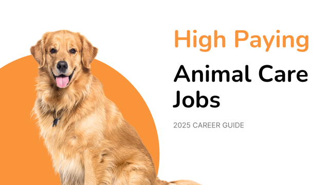 high paying animal care jobs