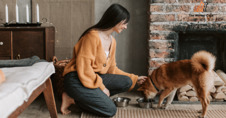 Woman feeding a dog indoors at home, placing food bowls on the floor as part of a calm and routine dog feeding practice.