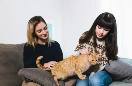 Cat Behaviour Rectification & Cat Health Care