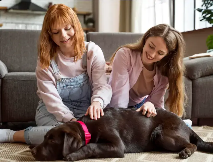 Complete Dog Care_ Dog Behaviour, Dog Nutrition, Dog Grooming & Dog First Aid (1)